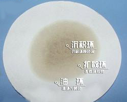 9號(hào) 2 圖圖.jpg 9號(hào) 2 圖圖.jpg